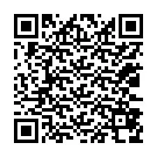 QR-code voor telefoonnummer +12033878679