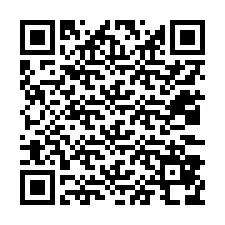 Código QR para número de teléfono +12033878683