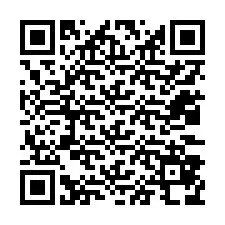 QR-Code für Telefonnummer +12033878687