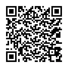 QR-code voor telefoonnummer +12033878861