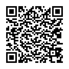 QR-code voor telefoonnummer +12033878862