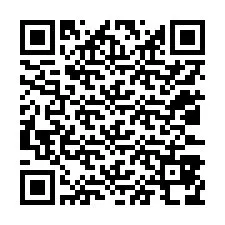 QR-code voor telefoonnummer +12033878868