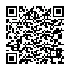 Codice QR per il numero di telefono +12033878870