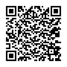 QR Code for Phone number +12033879613