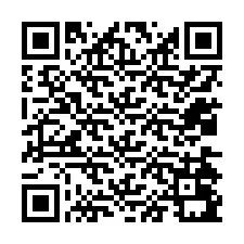 QR-code voor telefoonnummer +12034091817