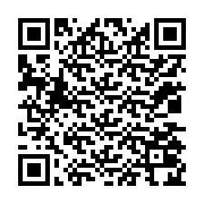 QR Code สำหรับหมายเลขโทรศัพท์ +12035024381