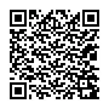 电话号码二维码 +12035281975