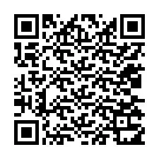 電話番号のQRコード +12035311336