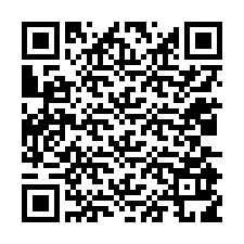 Codice QR per il numero di telefono +12035919376