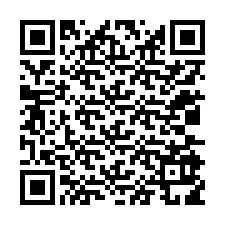 Código QR para número de teléfono +12035919934