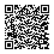 QR-code voor telefoonnummer +12036039234