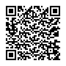 QR kód a telefonszámhoz +12036055208