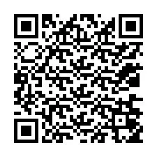 QR-код для номера телефона +12036055209