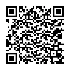 Codice QR per il numero di telefono +12036057079