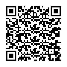 QR-код для номера телефона +12036059912