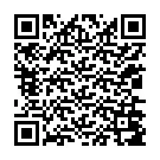 QR-код для номера телефона +12036087864