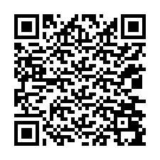 QR Code for Phone number +12036095390