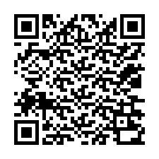 QR код за телефонен номер +12036230099