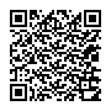 Código QR para número de telefone +12036310875