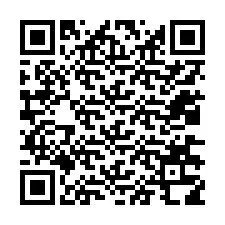 QR-Code für Telefonnummer +12036318747