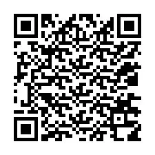 QR Code for Phone number +12036318748