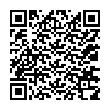 QR код за телефонен номер +12036318749