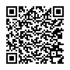 Código QR para número de telefone +12036318766