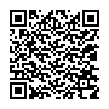 Código QR para número de telefone +12036318768