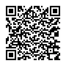 QR-code voor telefoonnummer +12036318920