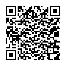 QR-code voor telefoonnummer +12036318921