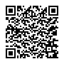 QR-code voor telefoonnummer +12036381558