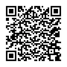 QR-code voor telefoonnummer +12036388369