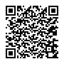 QR-code voor telefoonnummer +12036650113