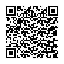 电话号码二维码 +12036709018