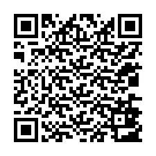 QR-код для номера телефона +12036803914