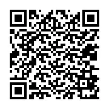 QR-код для номера телефона +12036871077