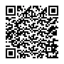 QR код за телефонен номер +12036871819