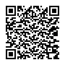 QR-Code für Telefonnummer +12037018038