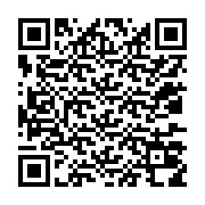 QR Code for Phone number +12037018408