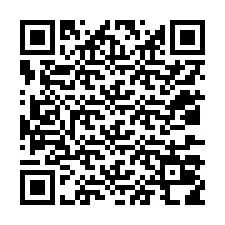 QR-koodi puhelinnumerolle +12037018408