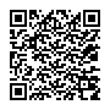 QR Code for Phone number +12037018409