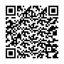 QR-Code für Telefonnummer +12037018424