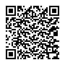 QR-code voor telefoonnummer +12037134260