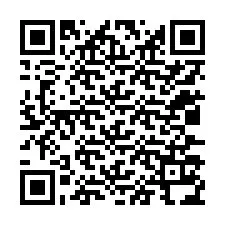 QR Code for Phone number +12037134264