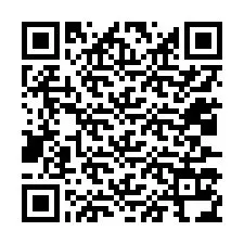 QR-Code für Telefonnummer +12037134473