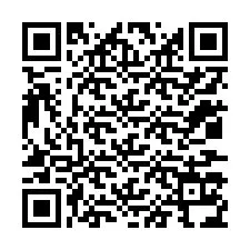 QR Code for Phone number +12037134481