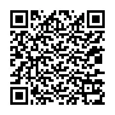 QR-code voor telefoonnummer +12037135410