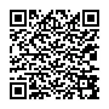 QR-code voor telefoonnummer +12037895420