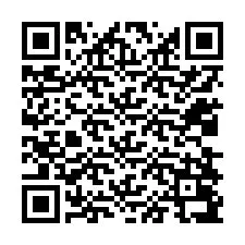 QR-code voor telefoonnummer +12038097223