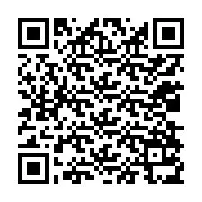 QR-code voor telefoonnummer +12038135666